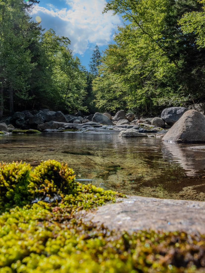 Adirondacks photograph 1