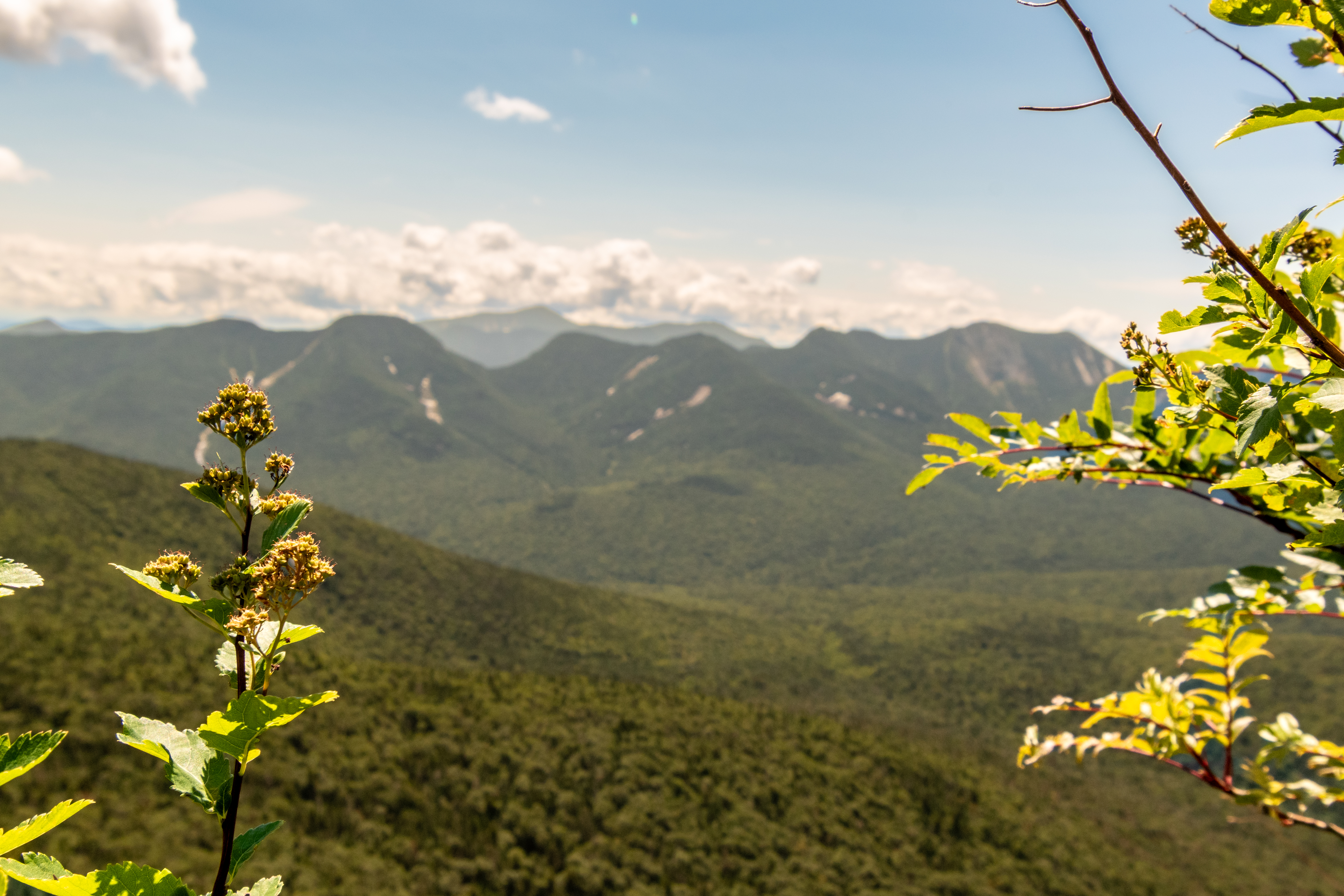 Adirondacks photograph 9