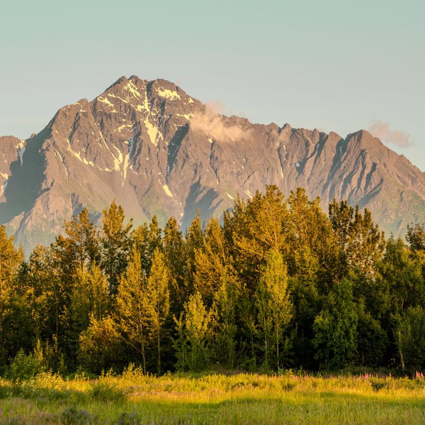 Alaska photograph 10