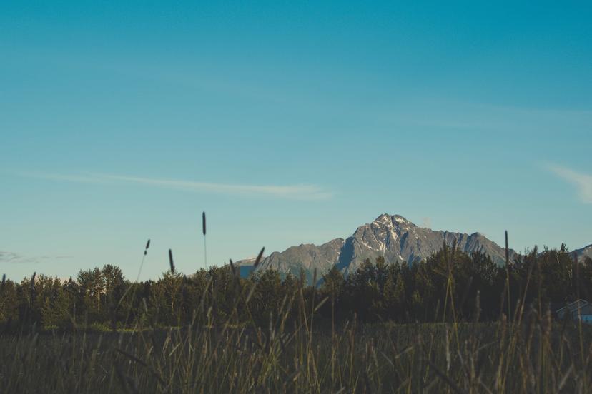 Alaska photograph 13