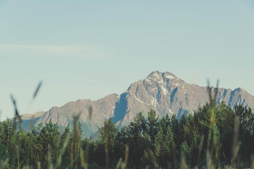 Alaska photograph 14