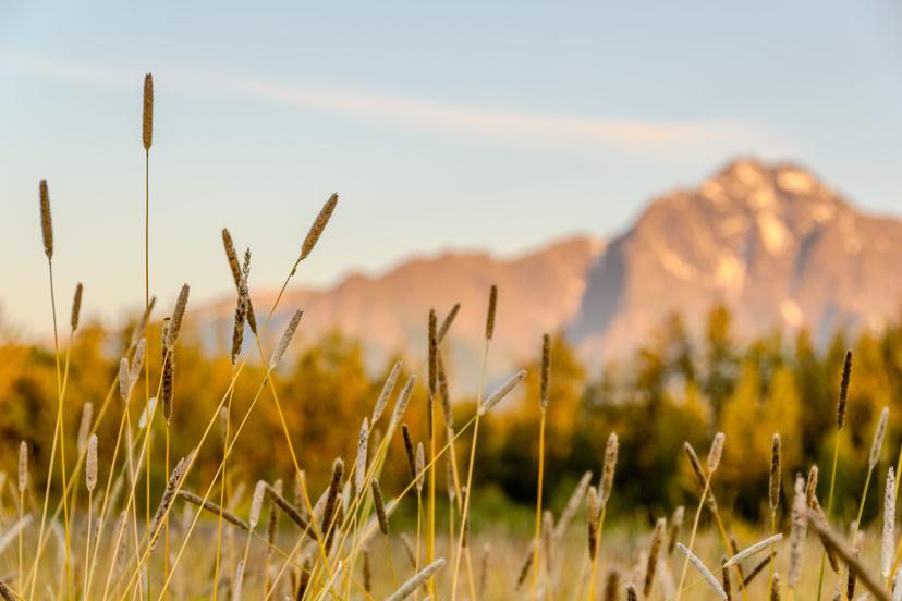Alaska photograph 17
