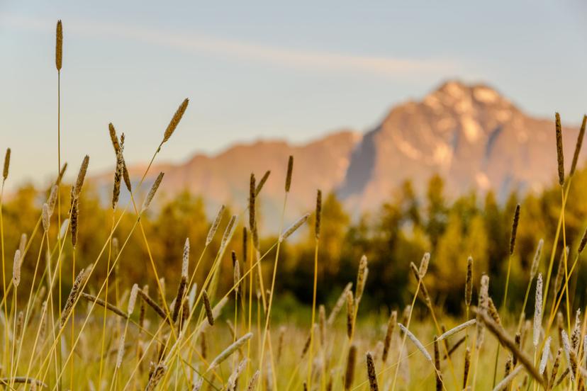 Alaska photograph 18