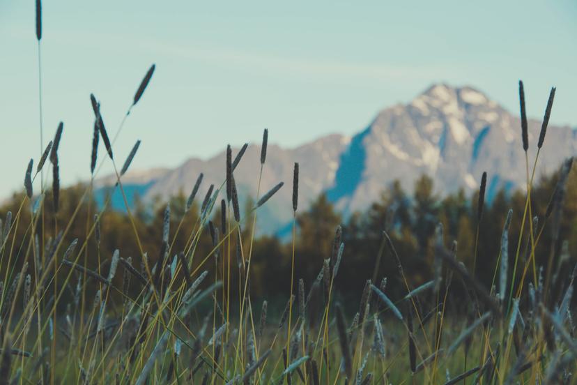 Alaska photograph 19