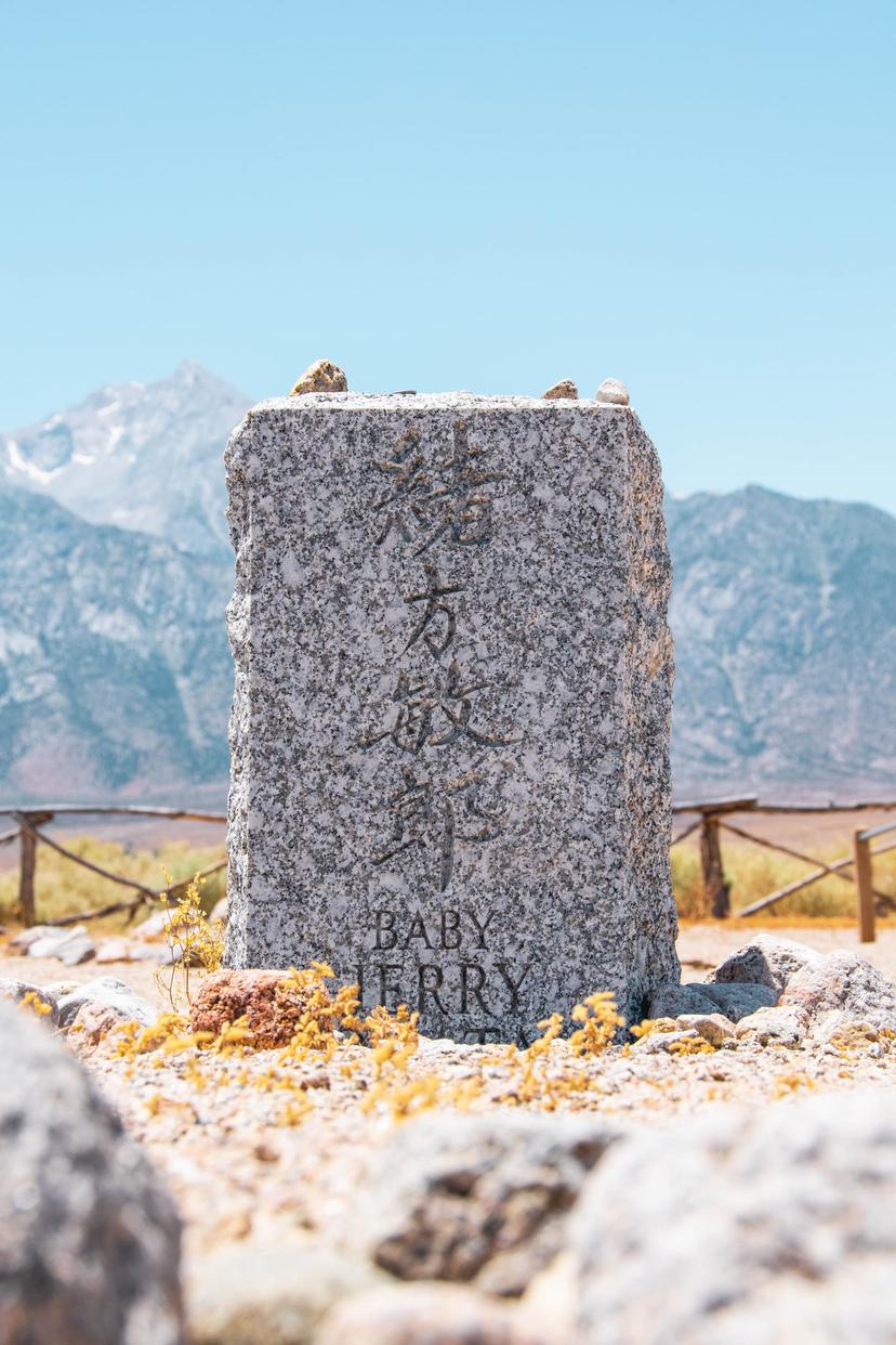 Mammoth photograph 1