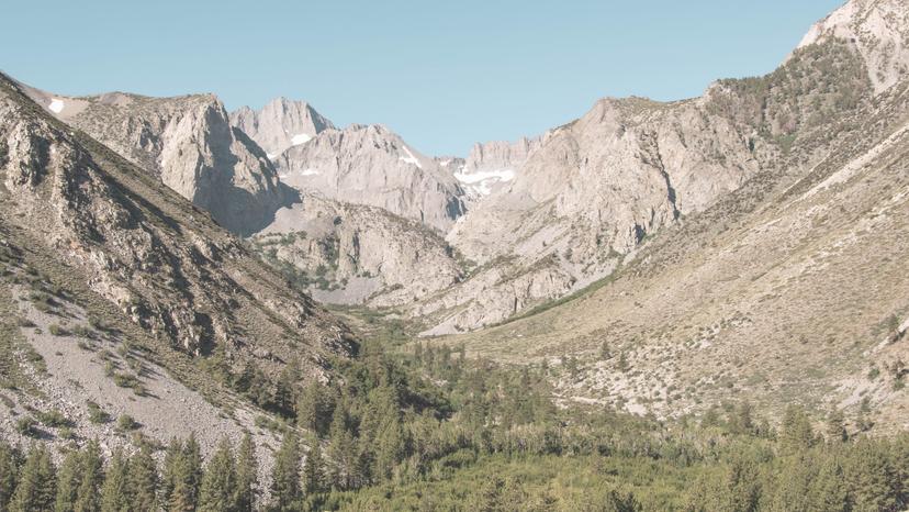 Mammoth photograph 4