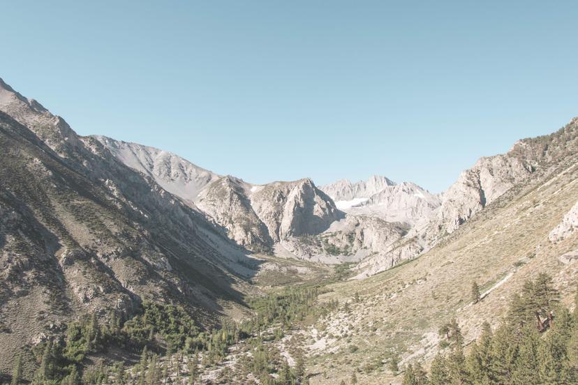 Mammoth photograph 5