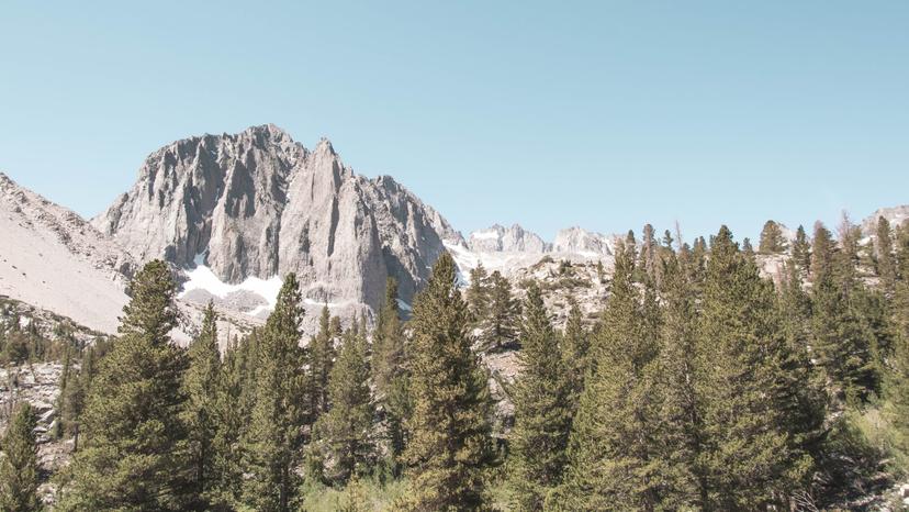 Mammoth photograph 9