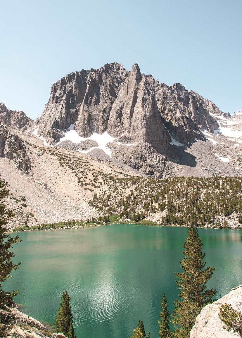 Mammoth photograph 13