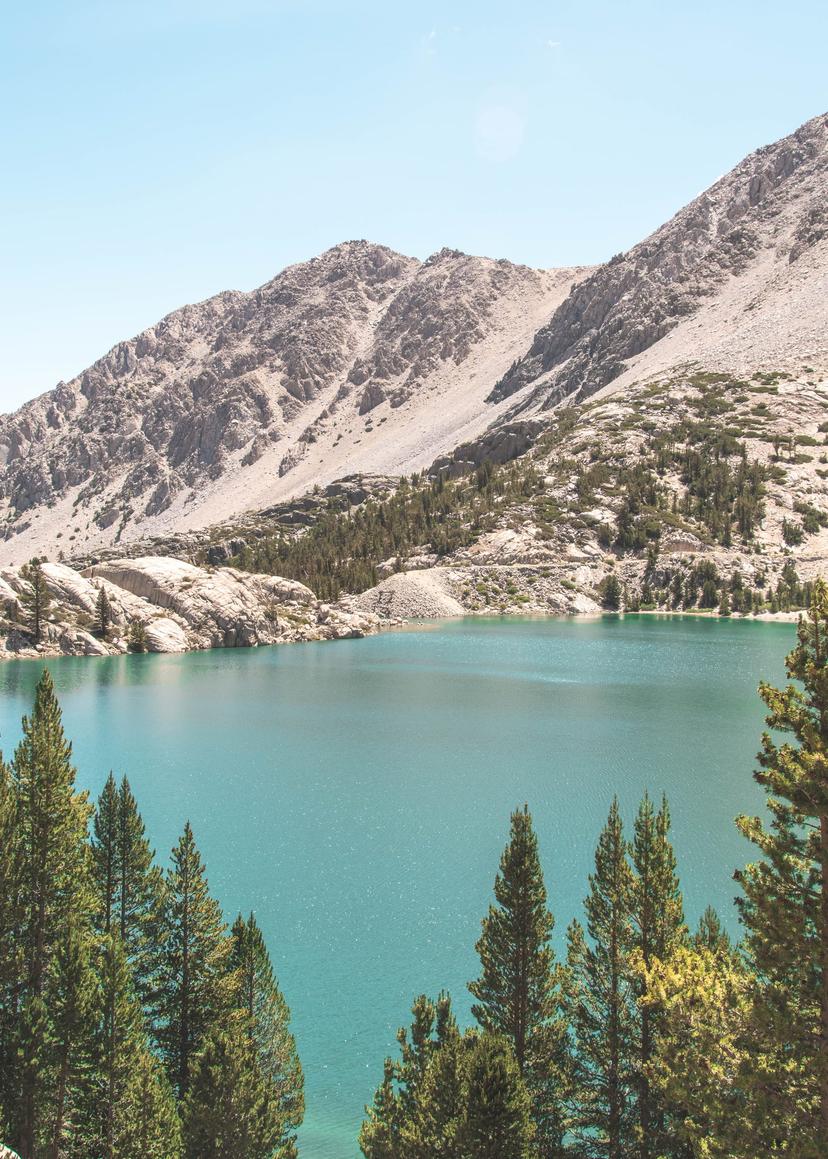 Mammoth photograph 15