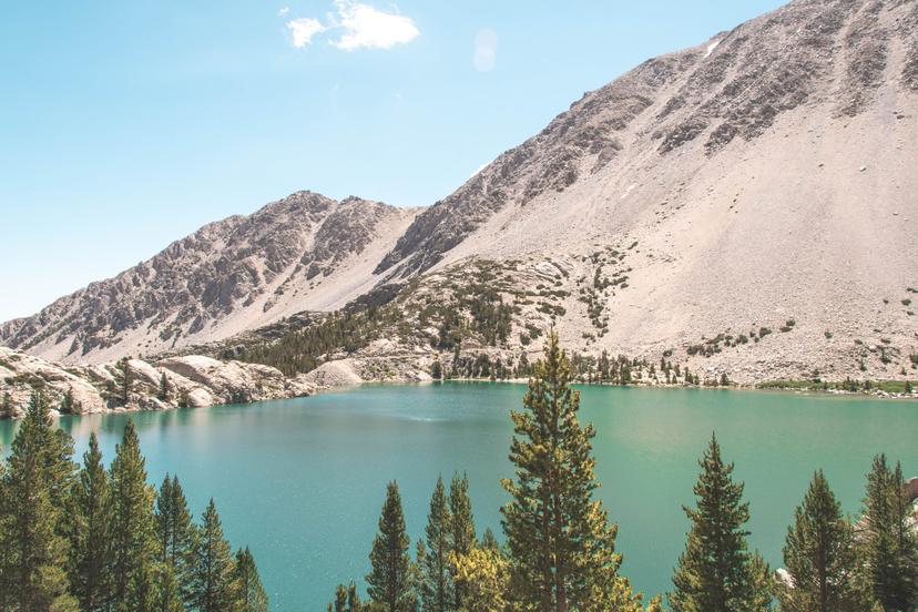 Mammoth photograph 16