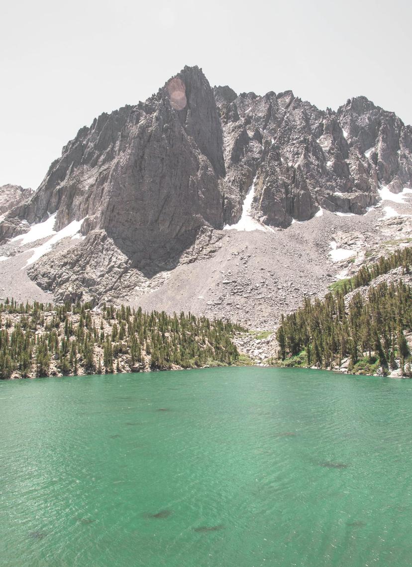 Mammoth photograph 18