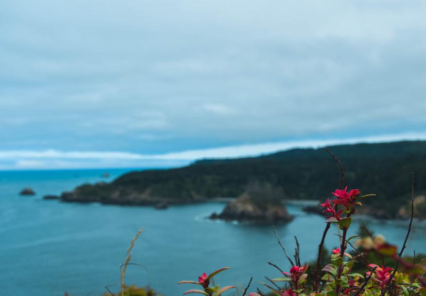 American Roadtrip photograph 11