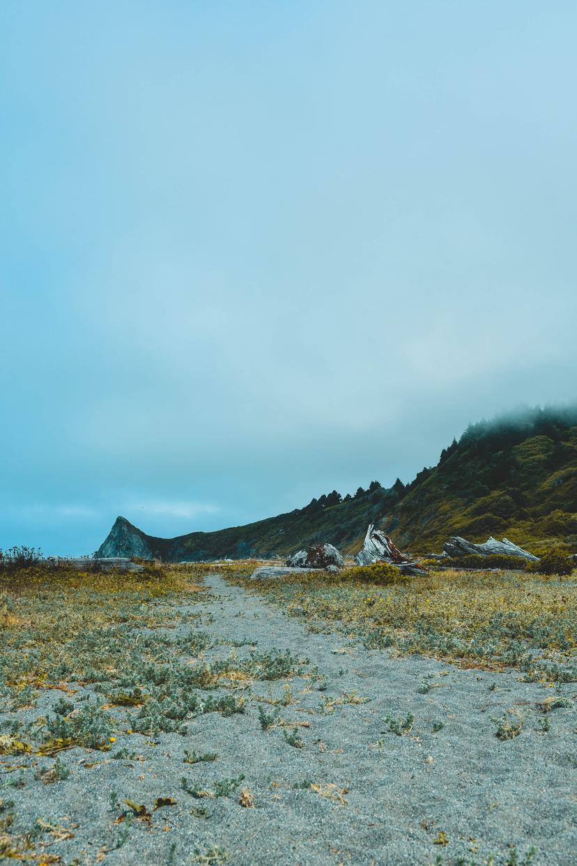 American Roadtrip photograph 16