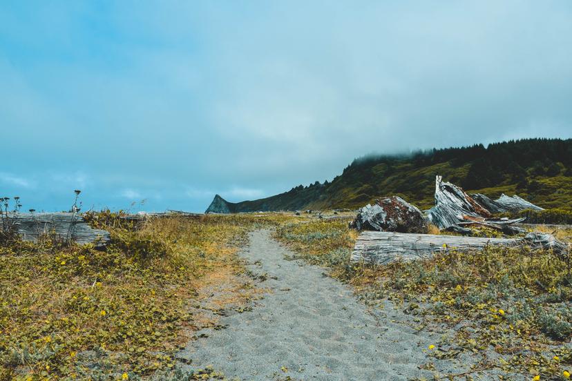 American Roadtrip photograph 17
