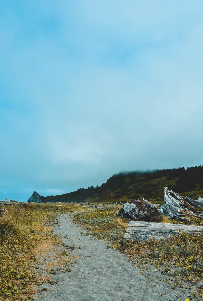 American Roadtrip photograph 18