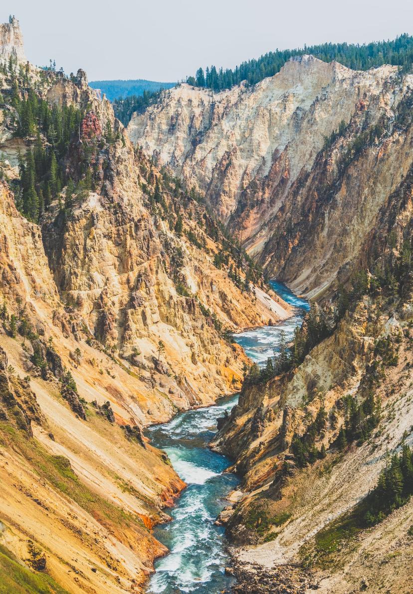 Yellowstone photograph 5