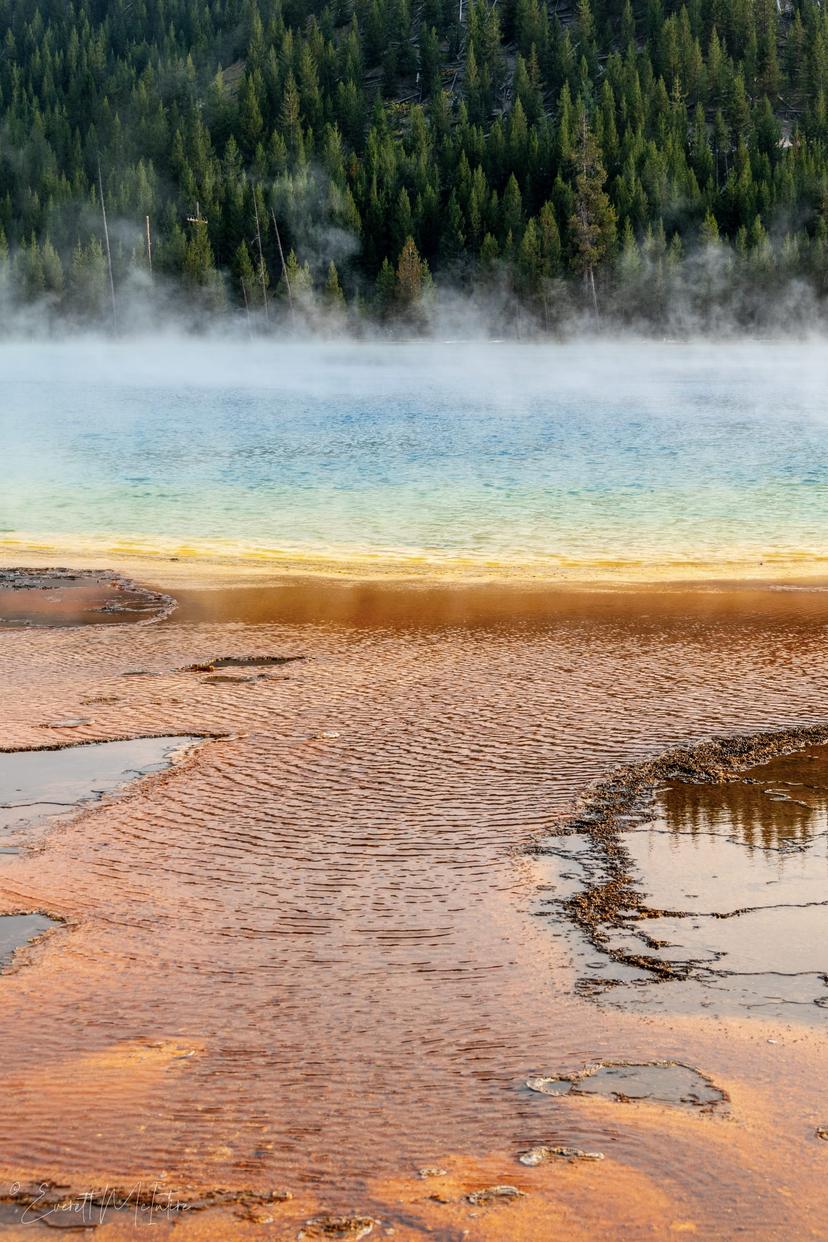 Yellowstone photograph 15