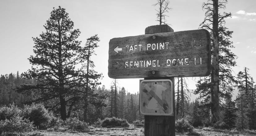 Yosemite photograph 7