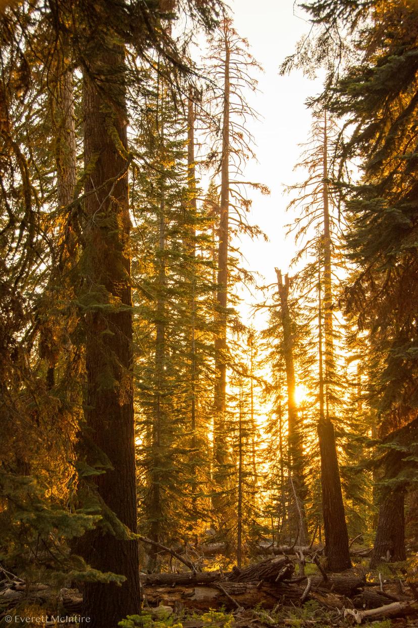Yosemite photograph 8
