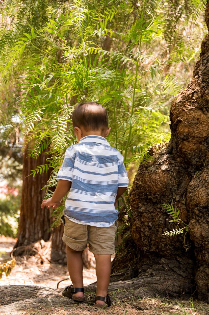 Teddy — 18 Months photograph 8