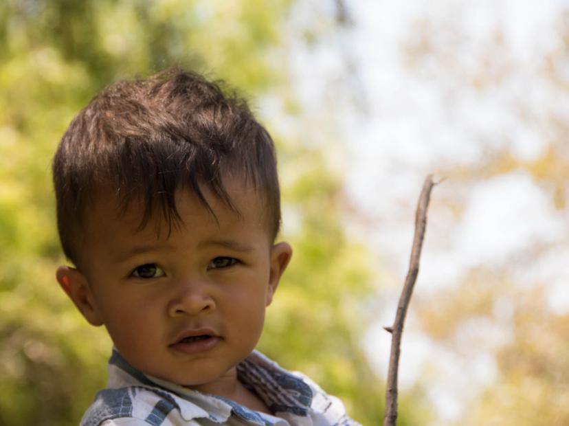 Teddy — 18 Months photograph 22