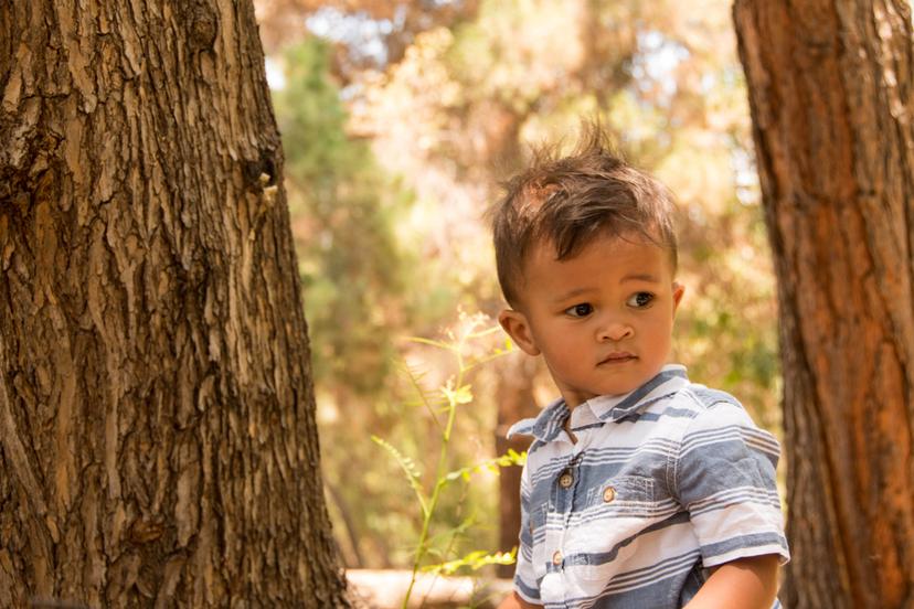 Teddy — 18 Months photograph 28