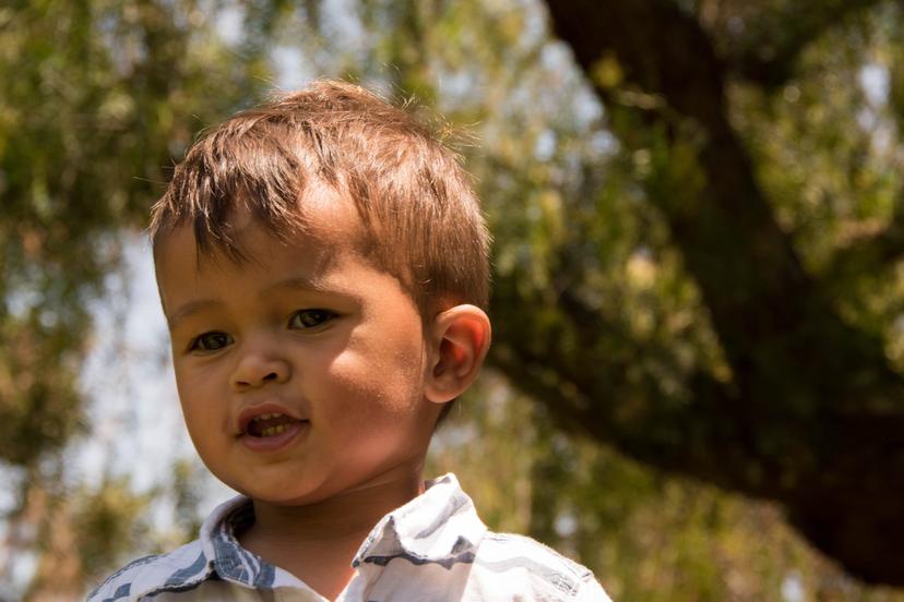 Teddy — 18 Months photograph 54
