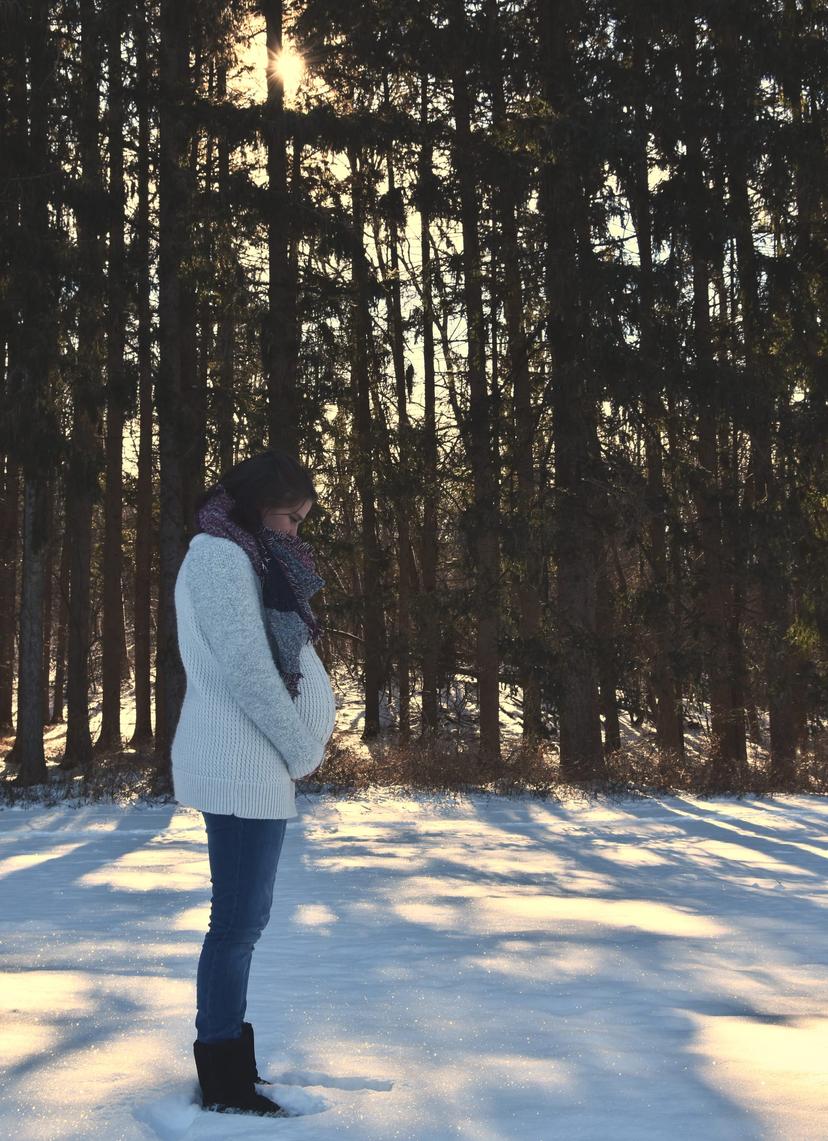 Trudy — Snow photograph 2