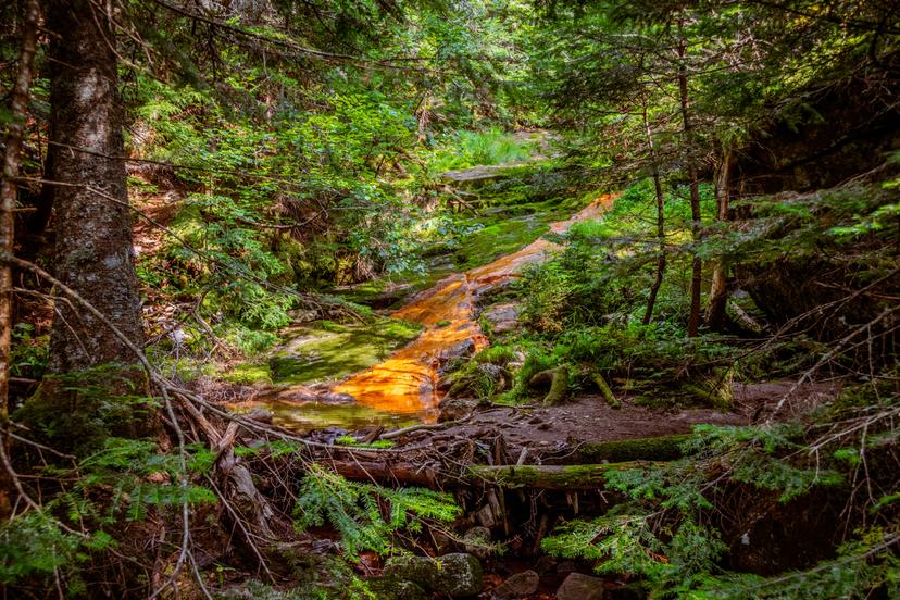 Adirondacks photograph 18