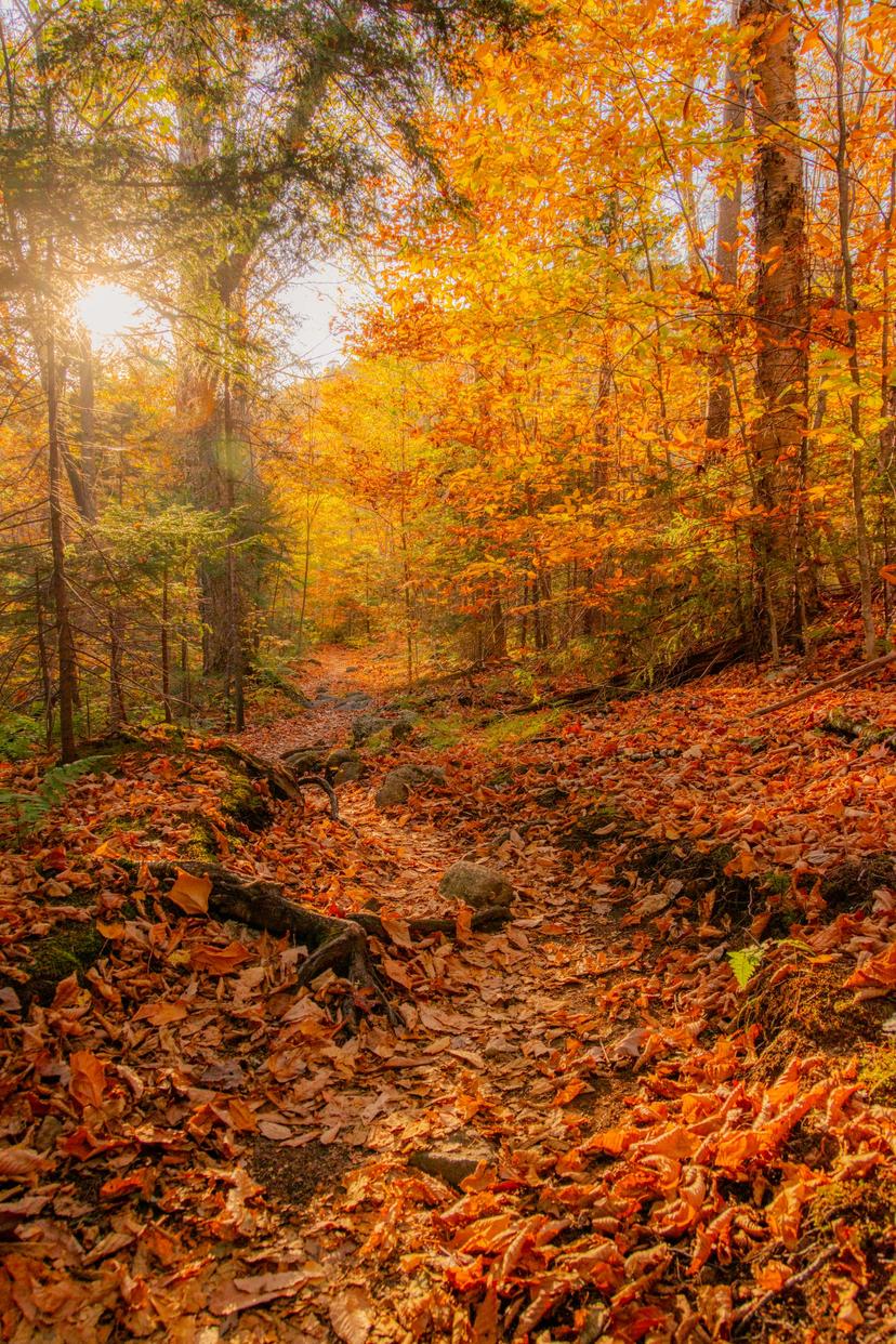 Adirondacks photograph 19