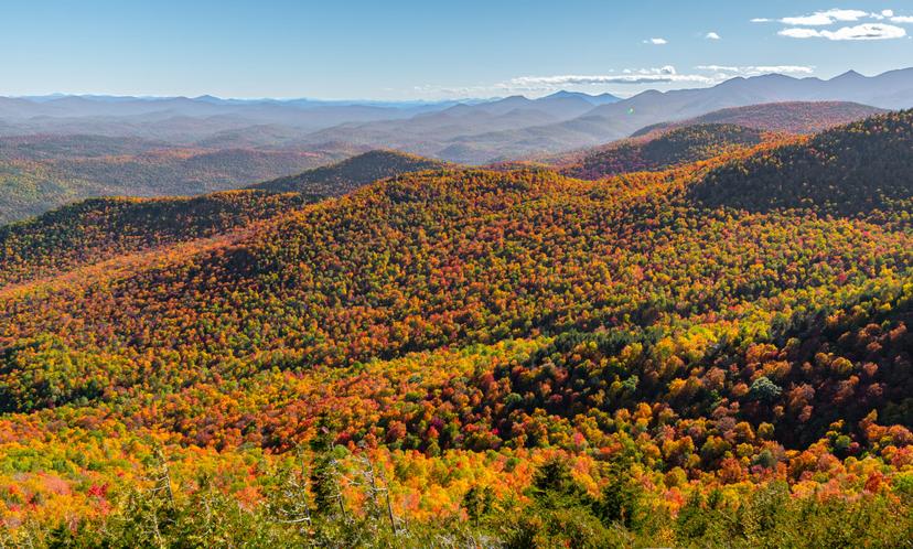 Giant & Rocky, ADKs photograph 21