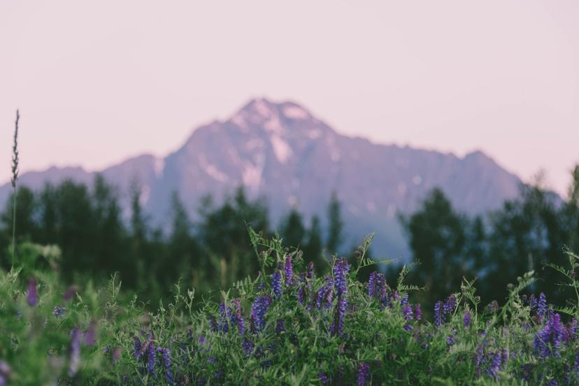 Alaska photograph 33