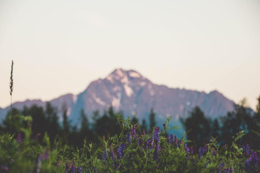 Alaska photograph 34