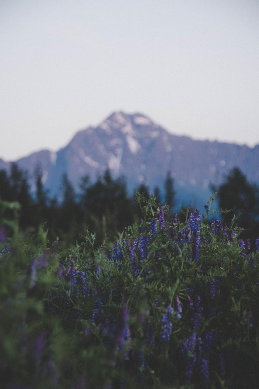 Alaska photograph 35