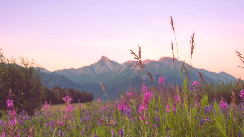 Alaska photograph 36