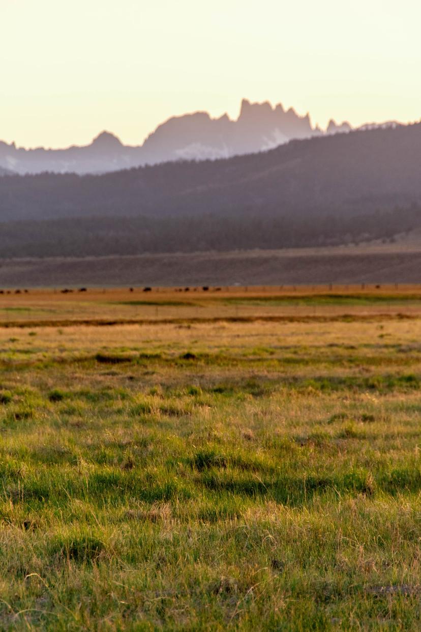 Mammoth photograph 27