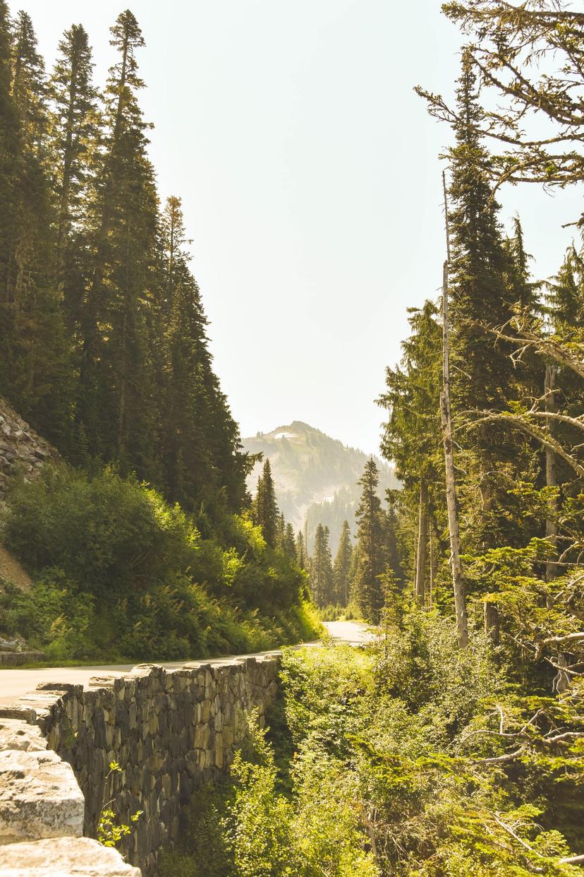 American Roadtrip photograph 31
