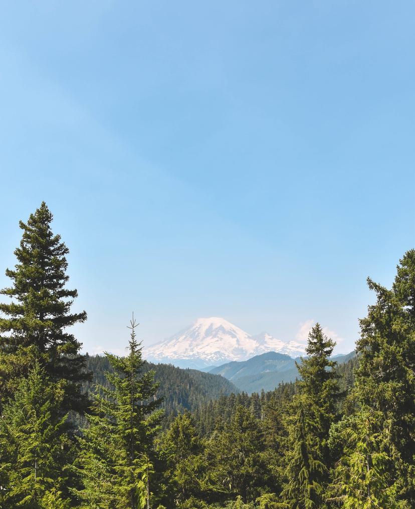 American Roadtrip photograph 36