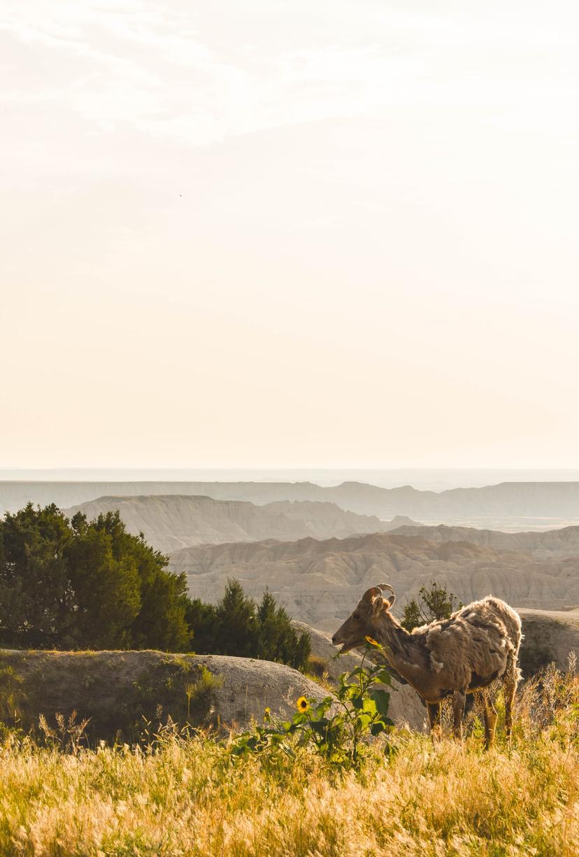 American Roadtrip photograph 51
