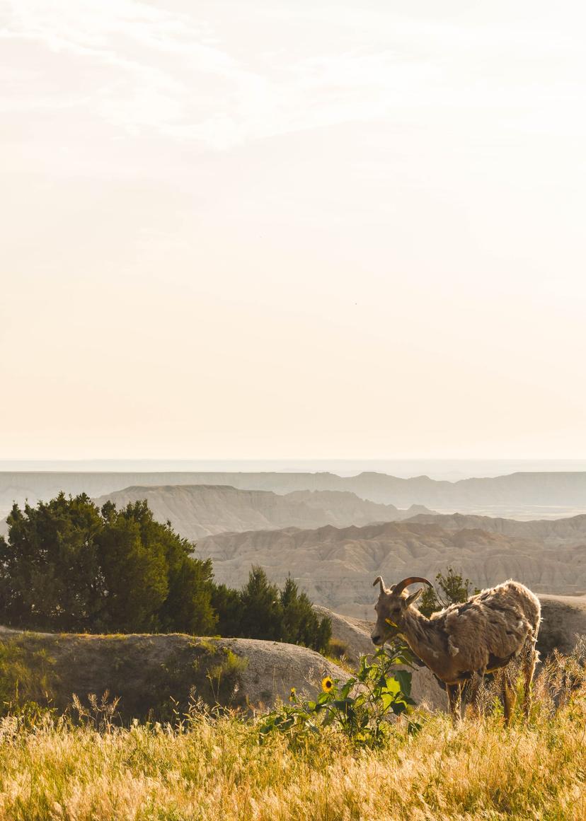 American Roadtrip photograph 52