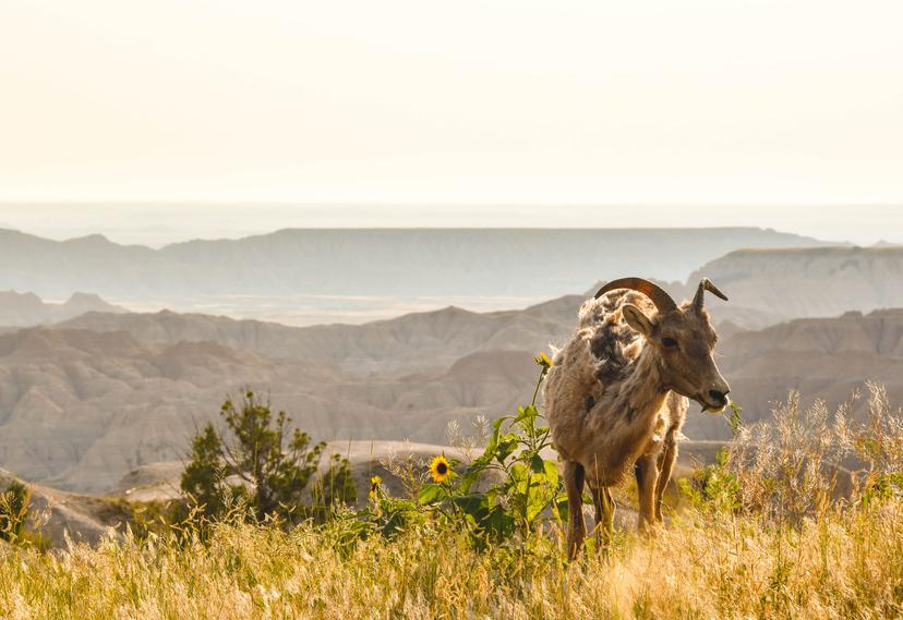 American Roadtrip photograph 54