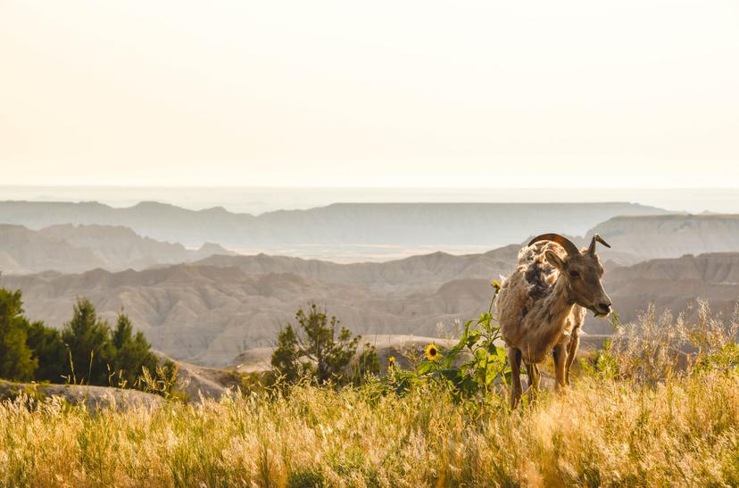 American Roadtrip photograph 55