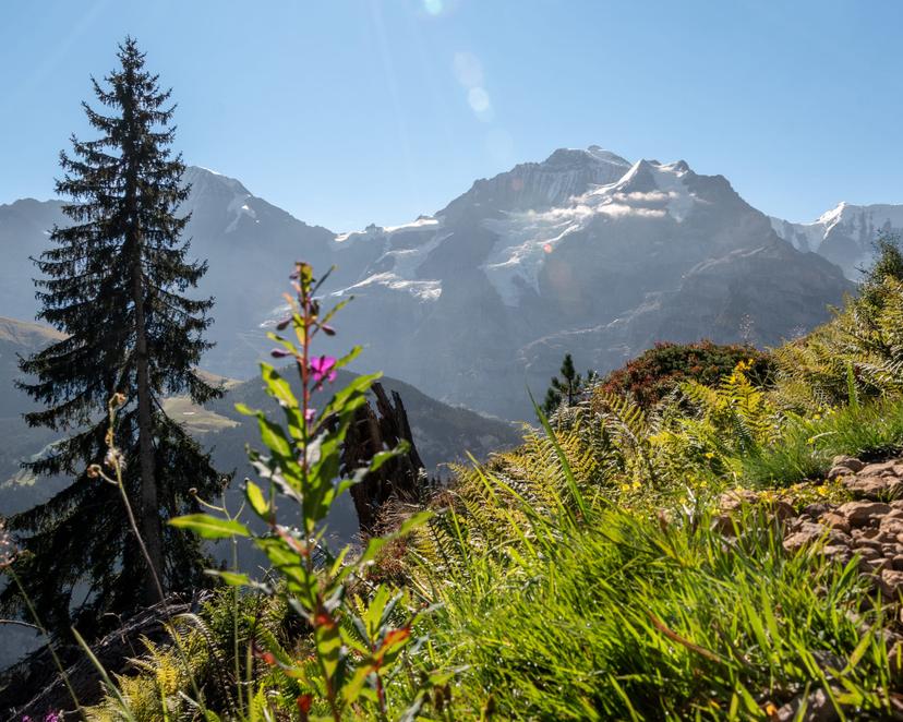 Switzerland photograph 6