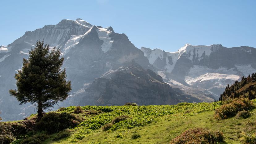 Switzerland photograph 7