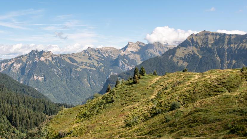 Switzerland photograph 14