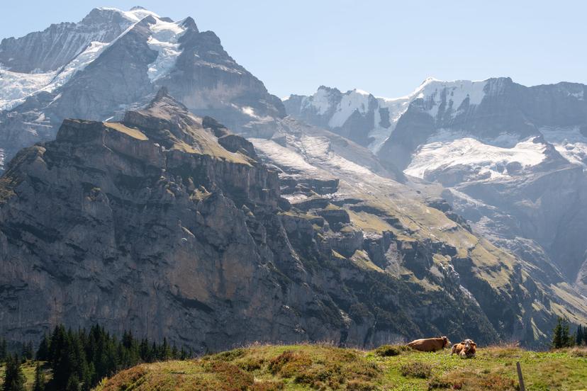 Switzerland photograph 25