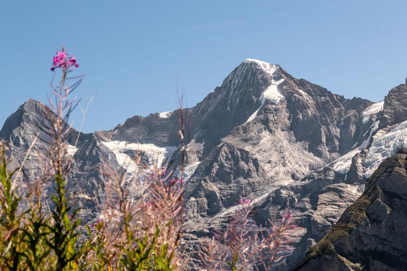 Switzerland photograph 28